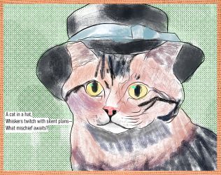 Cat hat